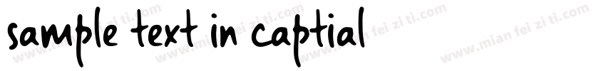 sample text in captial字体转换